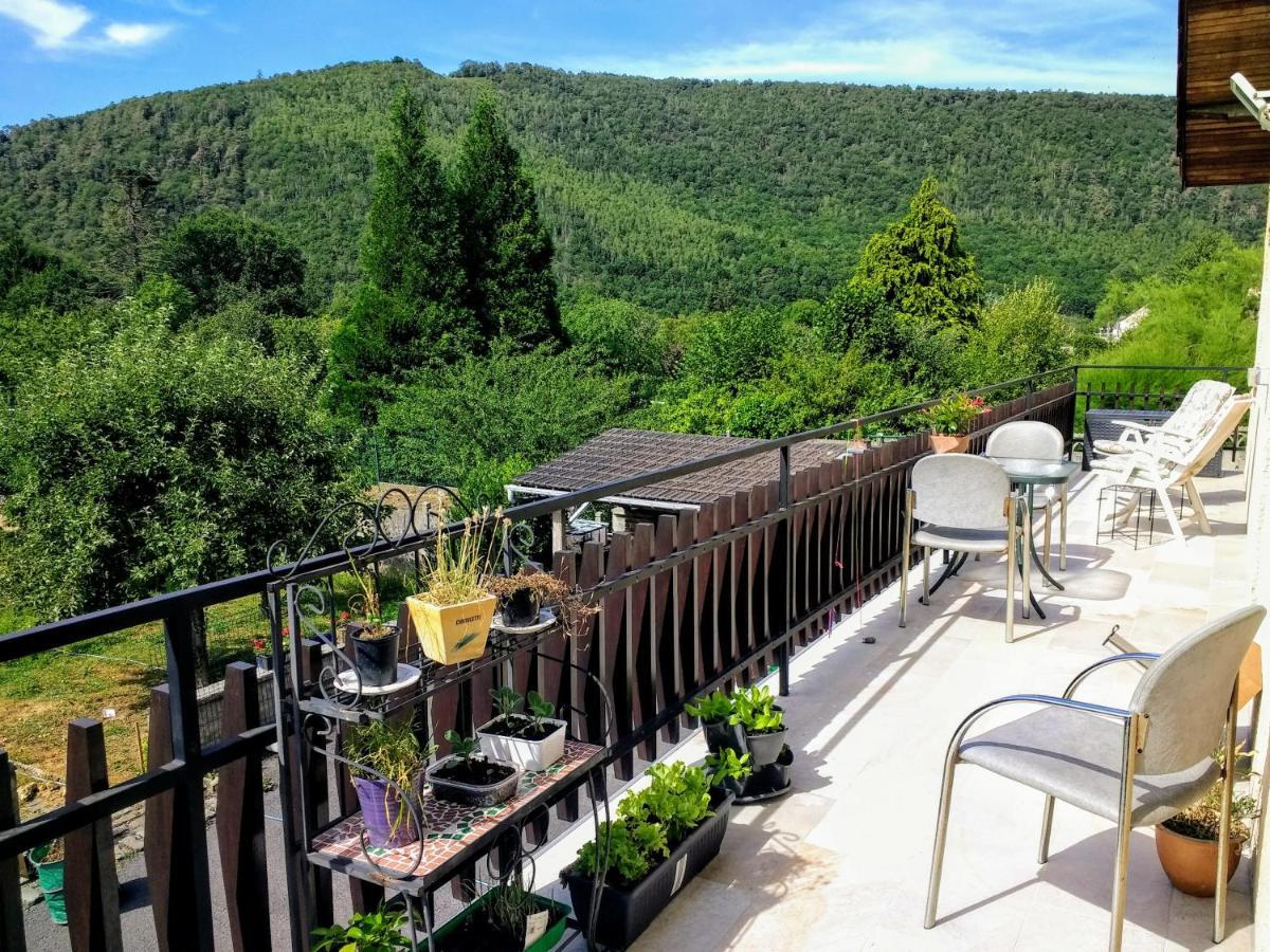 Bed and Breakfast Les Ecureuils Revin  Екстер'єр фото