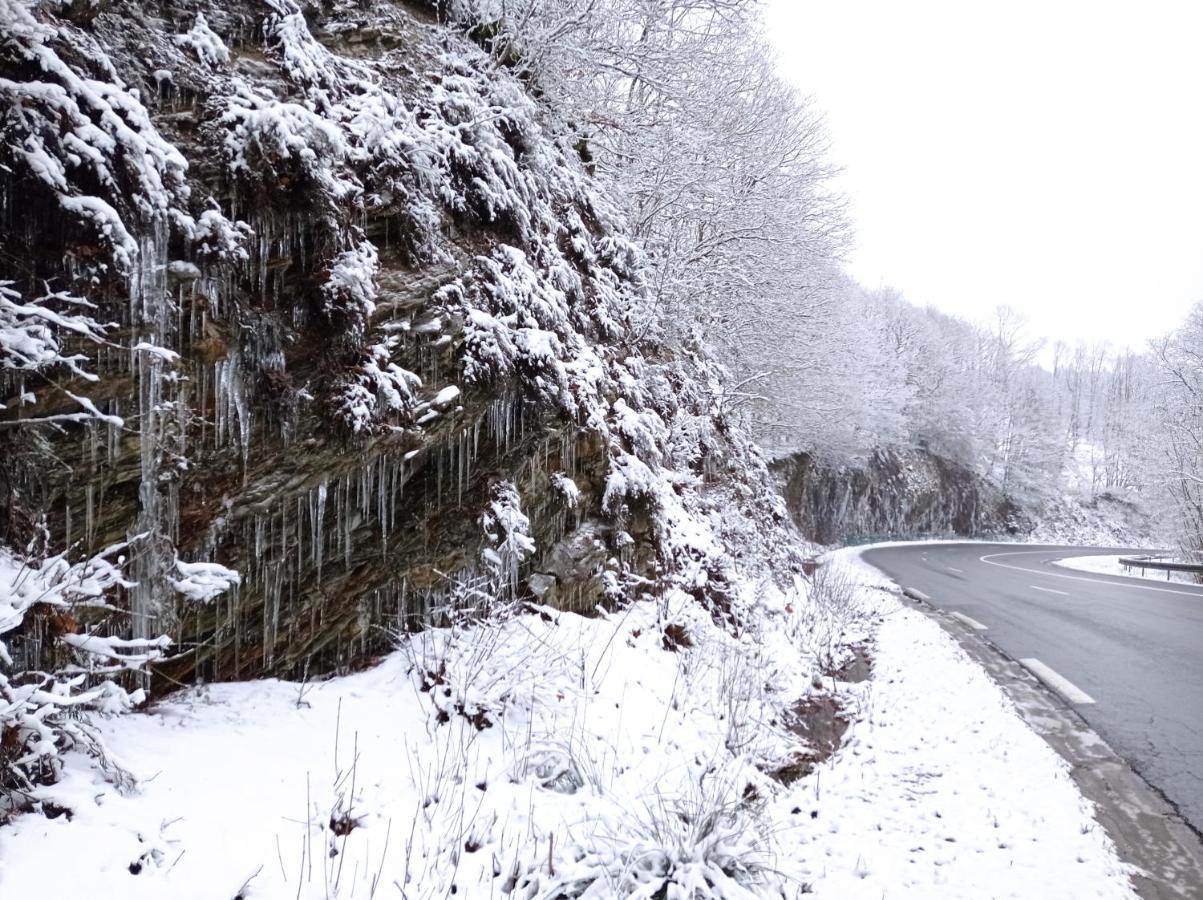 Bed and Breakfast Les Ecureuils Revin  Екстер'єр фото