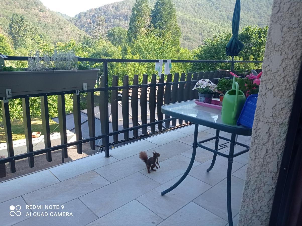 Bed and Breakfast Les Ecureuils Revin  Екстер'єр фото