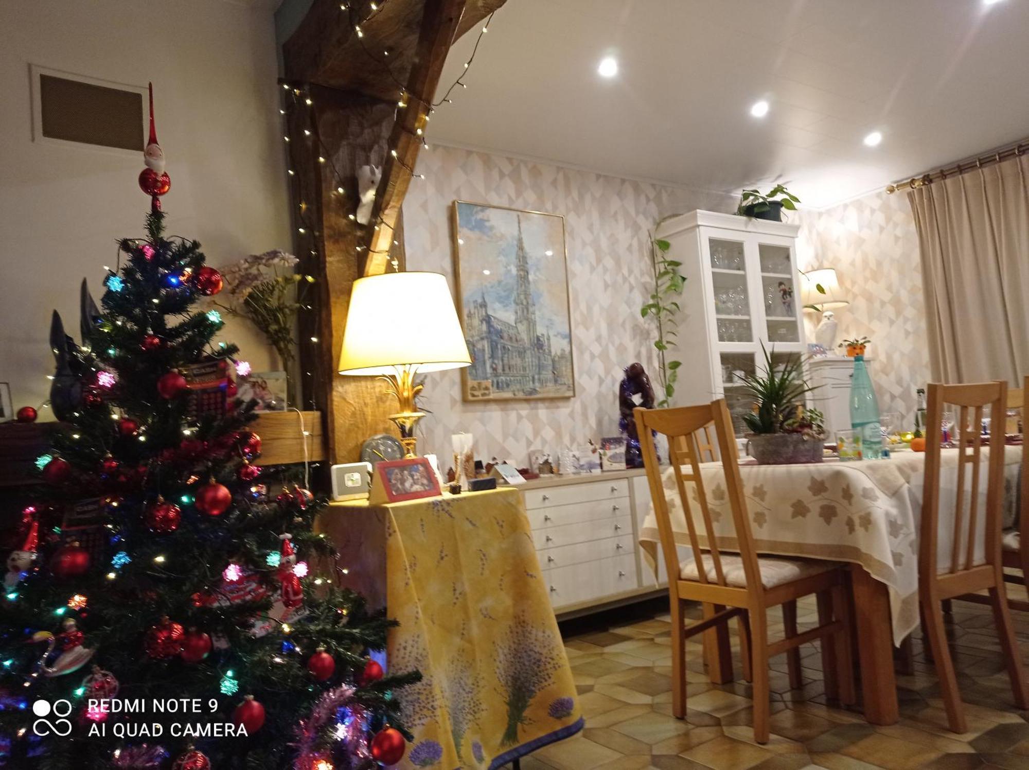 Bed and Breakfast Les Ecureuils Revin  Екстер'єр фото